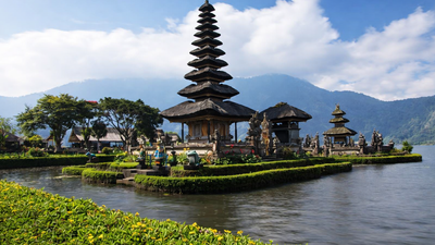 Dolphin Lovina & Bedugul Tour Package - Image - 12163